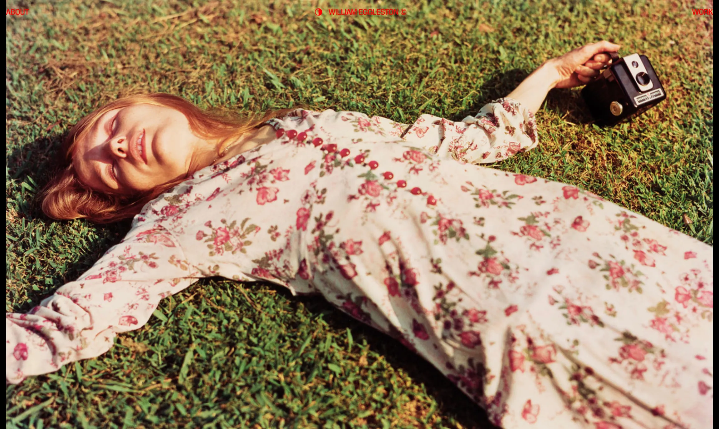 Eggleston Img 8 Hover