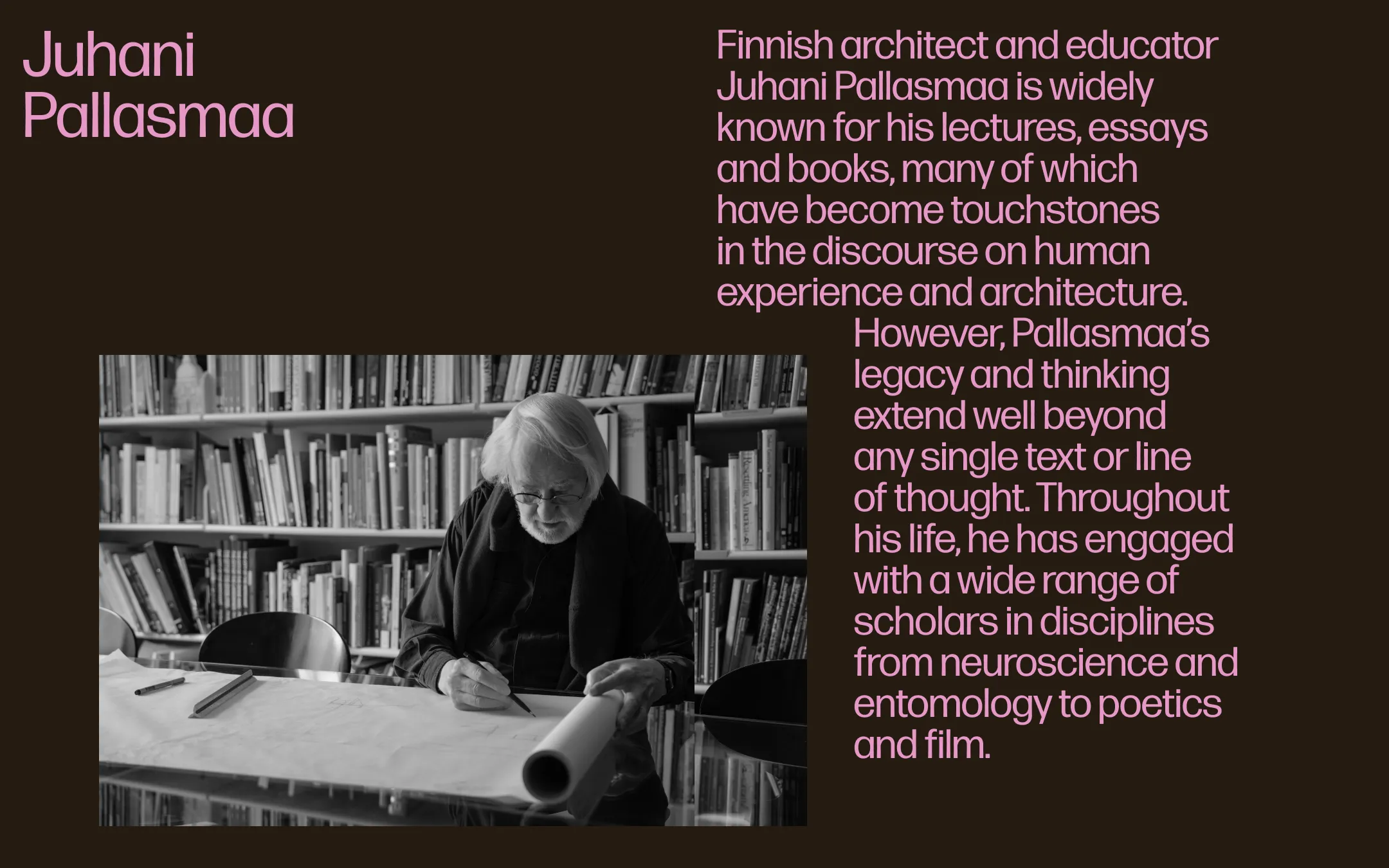 Juhani Pallasmaa 9