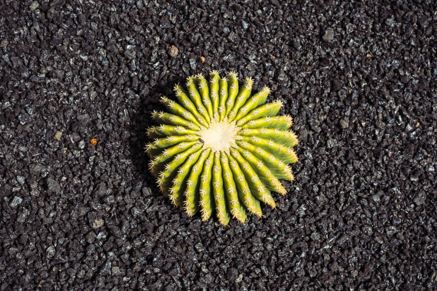 Lanzarote Img 17