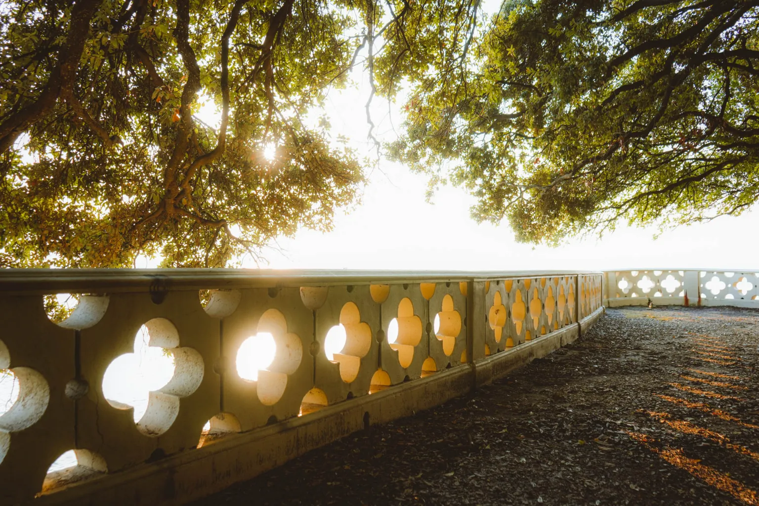 Views 7